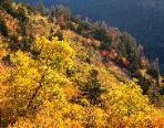 East Rim in Autumn