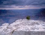 Edge of Time - Grandview Point
