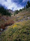 Fall at Snow Slide Spring