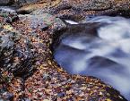 Meadow Run Colors
