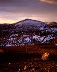 After the Eruption - Sunset Crater