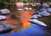 Rim Waters